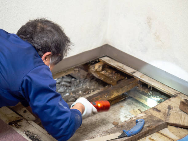 Water Damage Restoration in Washington Park, FL