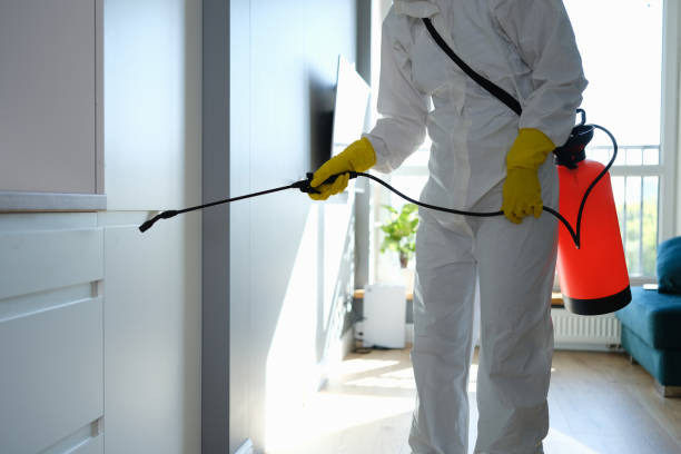 Best Mold Removal and Inspection  in Washington Park, FL